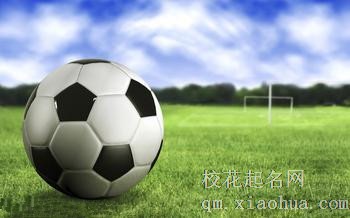 梦见足球