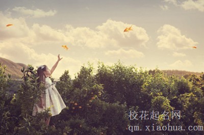梦见鱼在天上飞