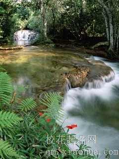 周公解梦 梦见掉牙齿