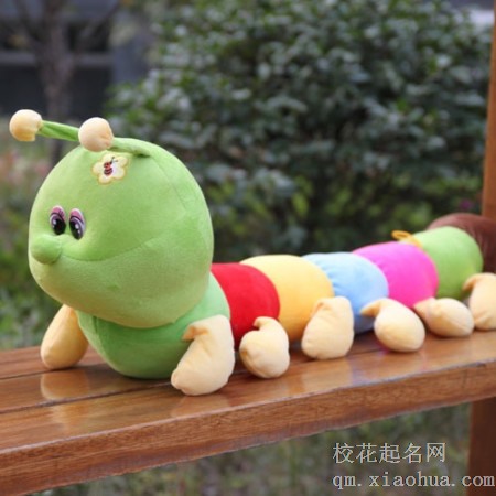 梦见虫 毛毛虫