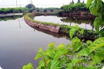梦见水塘 鱼塘