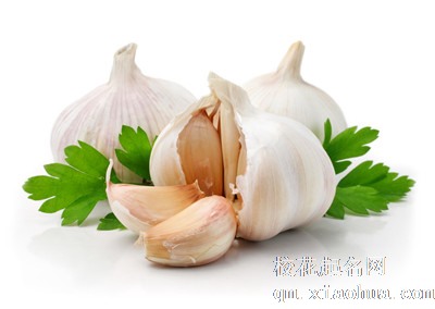 梦见蒜头满地