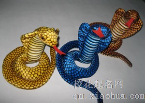 梦见眼镜蛇