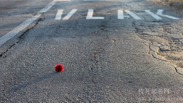 梦见开车迷路是什么意思