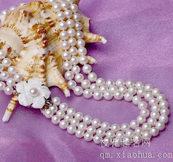 梦见珍珠项链