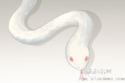 女人做梦梦见两条大蛇是什么意思