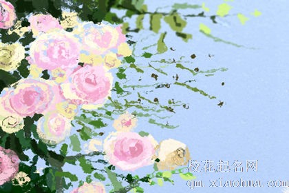 梦见牛和马，多姿多彩的一天