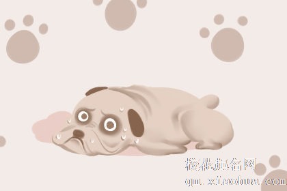梦到大狗生了一窝小狗是什么意思