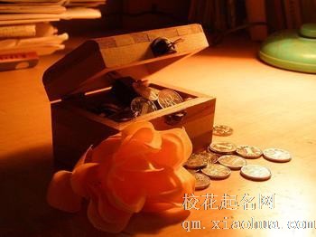 梦见钱箱