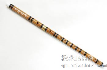 梦见笛子