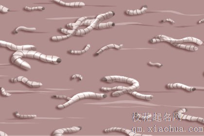 梦见好多蛆有的都爬自己身上来了有什么预兆