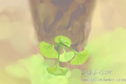 孕妇梦见凤凰和桃花，工作应谨慎