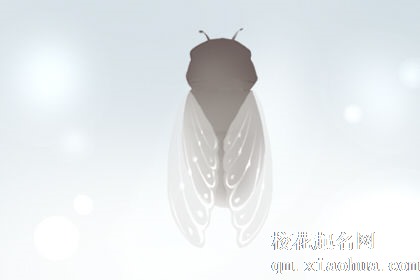 做梦梦到金蝉是什么意思