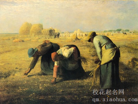 梦见拾麦穗的人