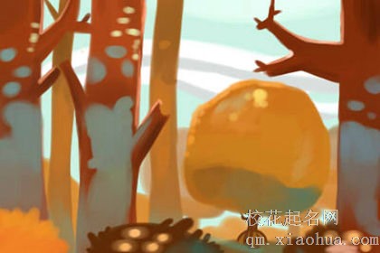 梦见母鸡下蛋蛋发光，做事目标性强