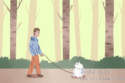 梦见华丽的婚礼，容易被花言巧语吸引