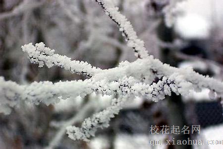 梦见露霜周公解梦，梦见露霜是什么意思？