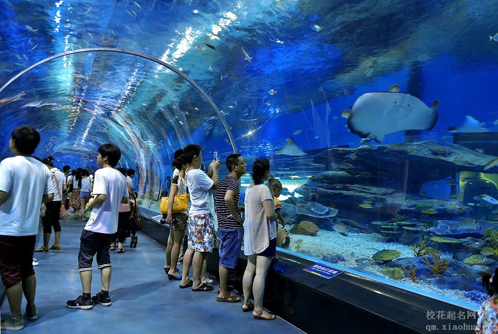 梦见海洋馆周公解梦，梦见海洋馆是什么意思？