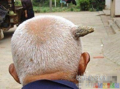 梦见头长角周公解梦，梦见头长角是什么意思？