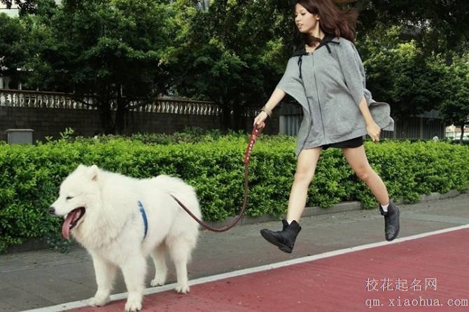 梦见牵着大狗散步周公解梦，梦见牵着大狗散步是什么意思？