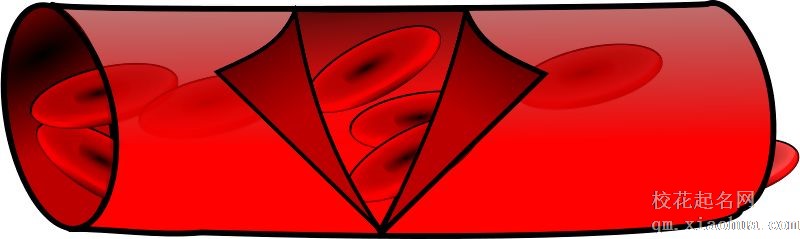 梦见血管周公解梦，梦见血管是什么意思？