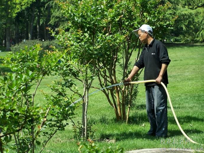 梦见园丁周公解梦，梦见园丁是什么意思？