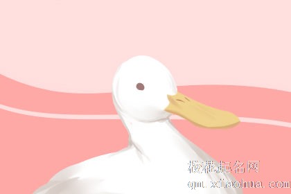 梦见被鸭子咬住不放有什么征兆