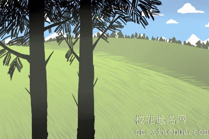梦见当众拉屎，黑色居然是吉祥色彩？