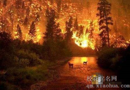 梦见火烧山周公解梦，梦见火烧山是什么意思？