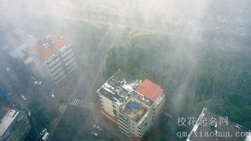 梦见狂风大作周公解梦，梦见狂风大作是什么意思？