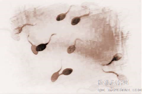 梦见捞起蝌蚪　周公解梦之梦到捞起蝌蚪