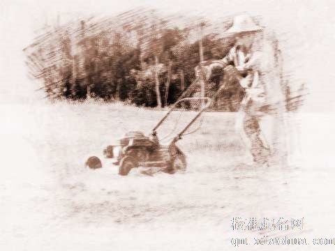 梦见修剪草地　周公解梦之梦到修剪草地