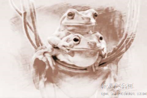 梦见紫色青蛙　周公解梦之梦到紫色青蛙