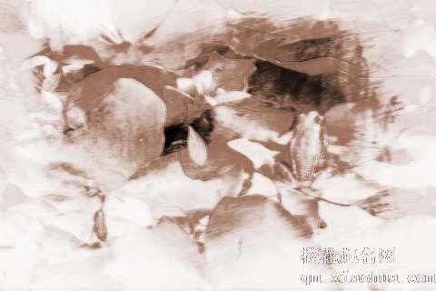 梦见青蛙游水　周公解梦之梦到青蛙游水