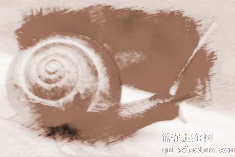 梦见超大蜗牛　周公解梦之梦到超大蜗牛