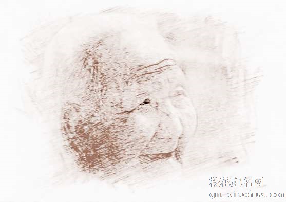 梦见陌生老荀　周公解梦之梦到陌生老荀