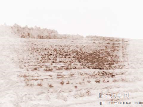 梦见买卖地皮　周公解梦之梦到买卖地皮