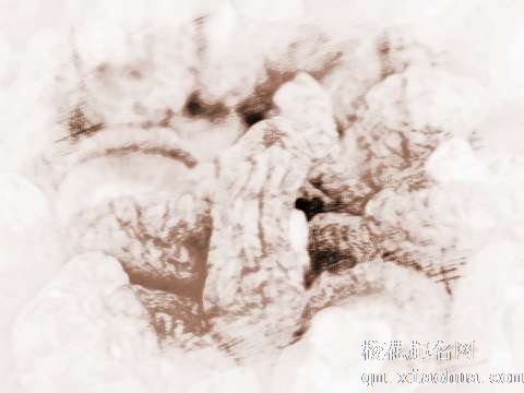 梦见晒干香菇　周公解梦之梦到晒干香菇