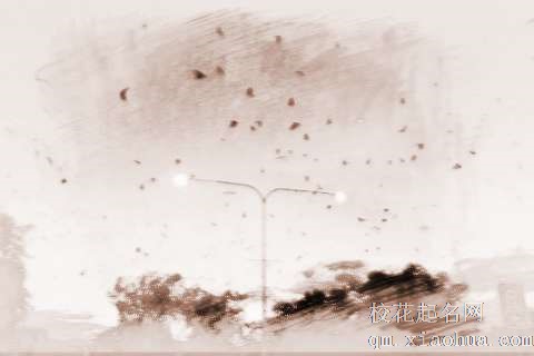 梦见漫天蝙蝠　周公解梦之梦到漫天蝙蝠