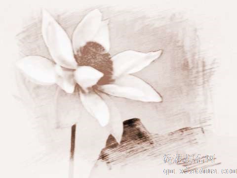 梦见一株莲花　周公解梦之梦到一株莲花