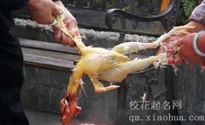 梦见杀鸡周公解梦，梦见杀鸡是什么意思？