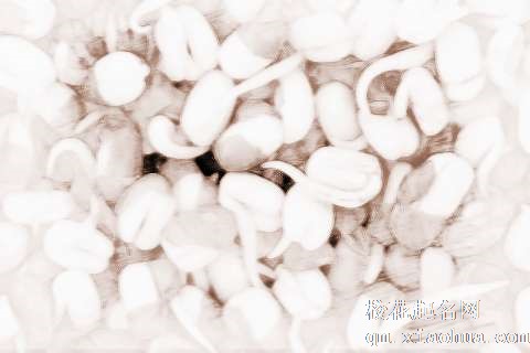 梦见绿豆发芽　周公解梦之梦到绿豆发芽