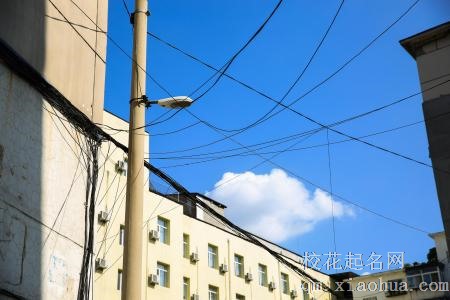 梦见电线杆周公解梦，梦见电线杆是什么意思？