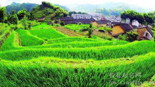 梦见田园风光周公解梦，梦见田园风光是什么意思？
