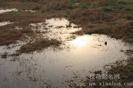 梦见一滩死水周公解梦，梦见一滩死水是什么意思？