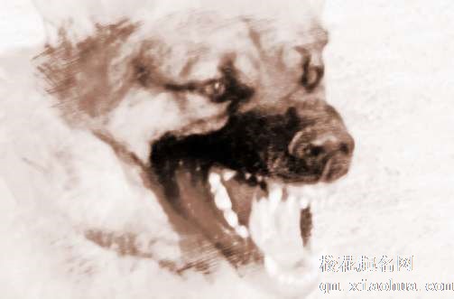 梦见狗咬脖子　周公解梦之梦到狗咬脖子