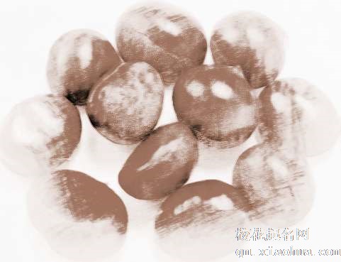 梦见栗子、板栗　周公解梦之梦到栗子、板栗