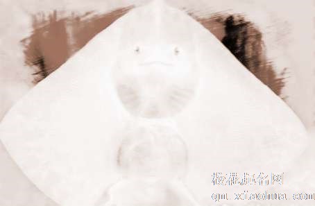 梦见奇怪的鱼　周公解梦之梦到奇怪的鱼