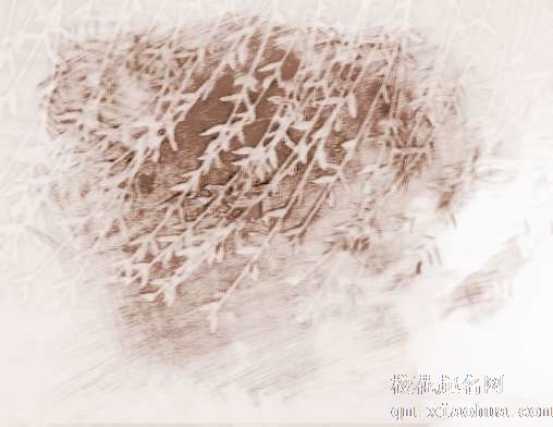 梦见柳树、杨柳　周公解梦之梦到柳树、杨柳