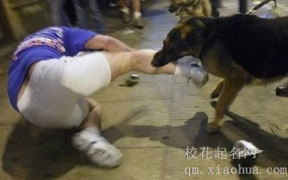 梦见狗咬人周公解梦，梦见狗咬人是什么意思？